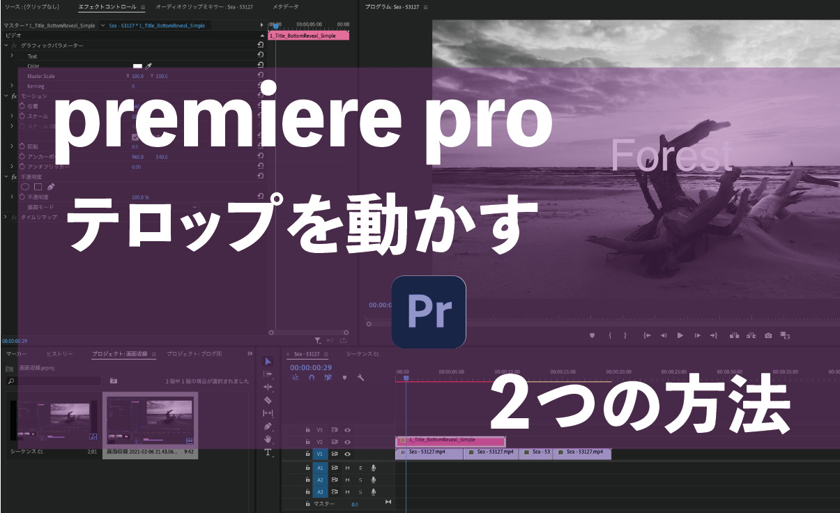 Premiere Pro Cc テロップの動かす２つの方法 デザインの副業で稼ぐ